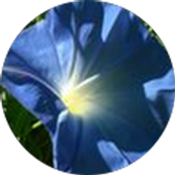 Profile photo of Claudia Staley