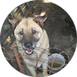 Profile photo of dadsons1