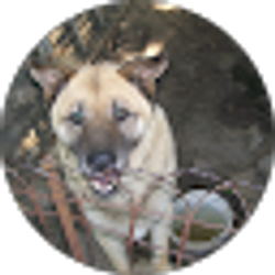 Profile photo of dadsons1