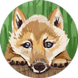 Profile photo of Kevin Ta