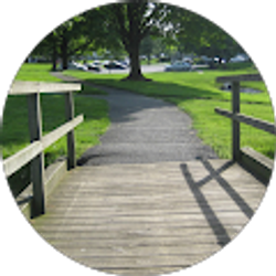 Profile photo of Susan Prophet