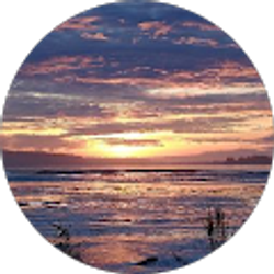 Profile photo of Christopher Moore