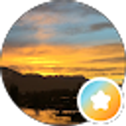 Profile photo of Dawn Rice