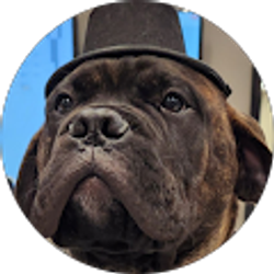 Profile photo of Consuela Reinhart