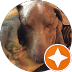 Profile photo of Sanders Marvin