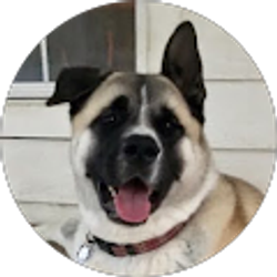 Profile photo of Diane Langston