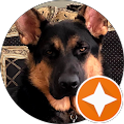 Profile photo of Kevin Randall