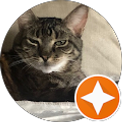 Profile photo of Sherman