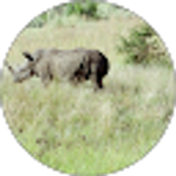 Profile photo of Richard Marr