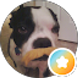 Profile photo of Matt