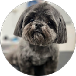 Profile photo of THE BARKERY Grooming Boutique