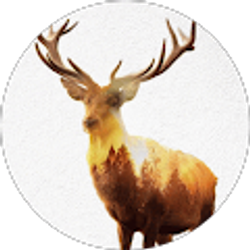 Profile photo of devon blackwell