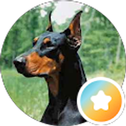 Profile photo of Jay Bee