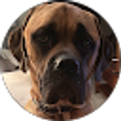 Profile photo of Chris Hart