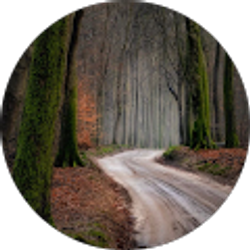 Profile photo of Joel Portillo Martinez