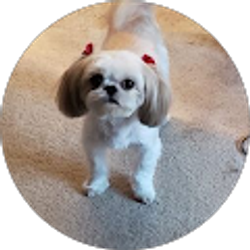 Profile photo of Lucia Toussaint