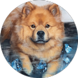 Profile photo of Yeslin Maldonado