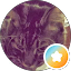 Profile photo of Ash :P