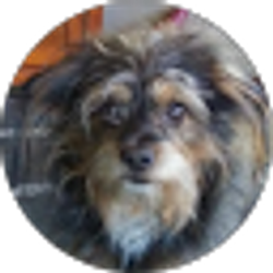 Profile photo of Jenny Moose