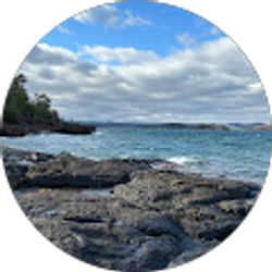 Profile photo of Dolly H