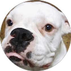 Profile photo of Debby Chappell - Reed