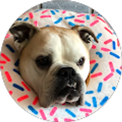 Profile photo of Sean Lucas