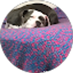 Profile photo of Brown Beaner