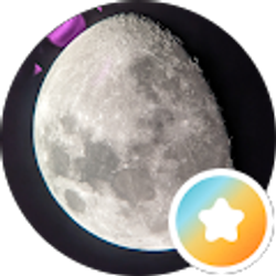 Profile photo of T M