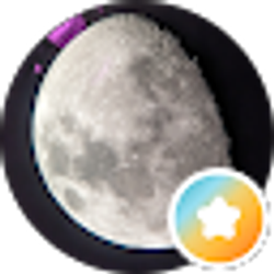 Profile photo of T M