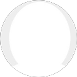 Profile photo of Deena Naimoli