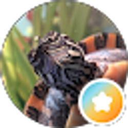 Profile photo of kriglar