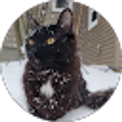 Profile photo of Cody