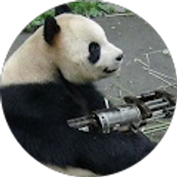 Profile photo of B Tiemann