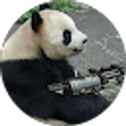 Profile photo of B Tiemann