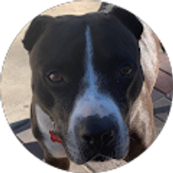 Profile photo of Wende Wylie