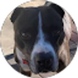 Profile photo of Wende Wylie