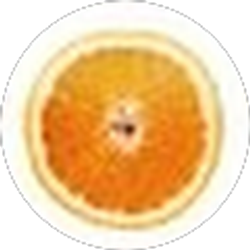 Profile photo of Brendan Ballou