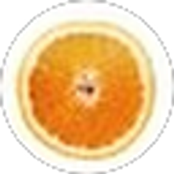 Profile photo of Brendan Ballou