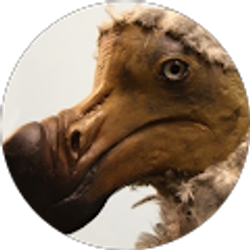 Profile photo of Gerrit Lane