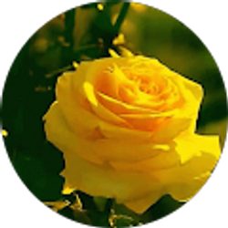 Profile photo of Edna Castillo