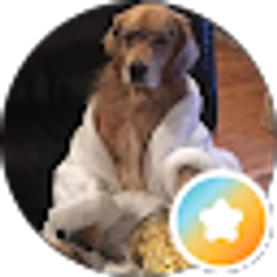 Profile photo of Lorin Szewki