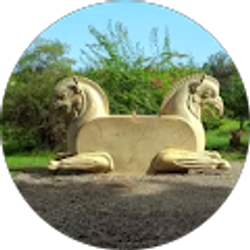 Profile photo of Matin Nouri