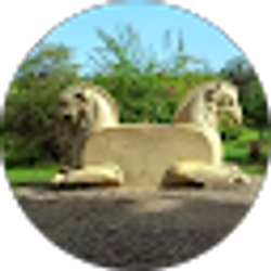 Profile photo of Matin Nouri