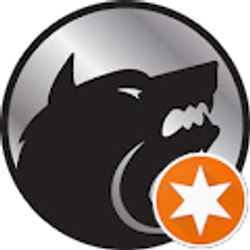 Profile photo of Alex Allman