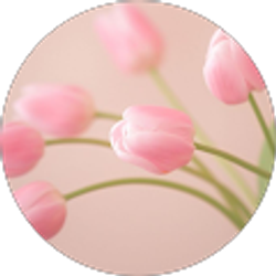 Profile photo of Jean