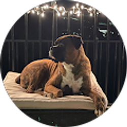 Profile photo of Sarah Shiver