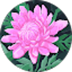 Profile photo of Melissa Chrisco