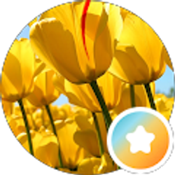 Profile photo of Kari Emerson