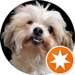 Profile photo of Tammie Nguyen