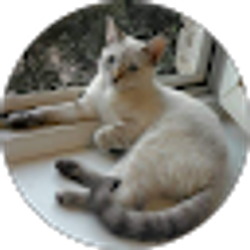 Profile photo of Mariya Makarova